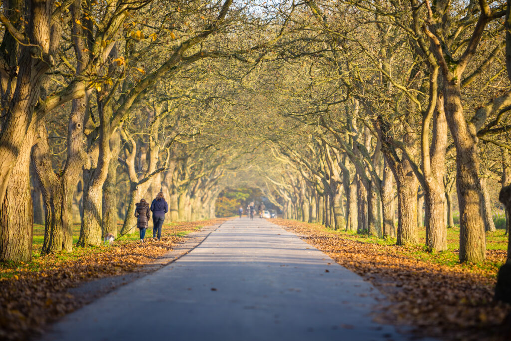 twee mensen wandelen onder de bomen bij landgoed Mariënwaerdt