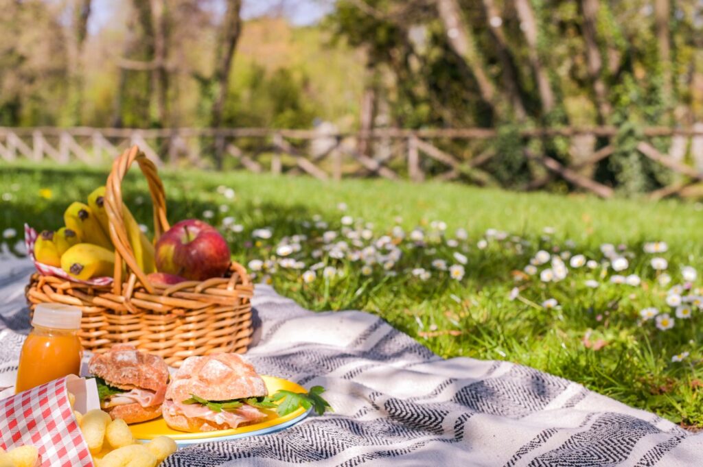 vaderdag picknick