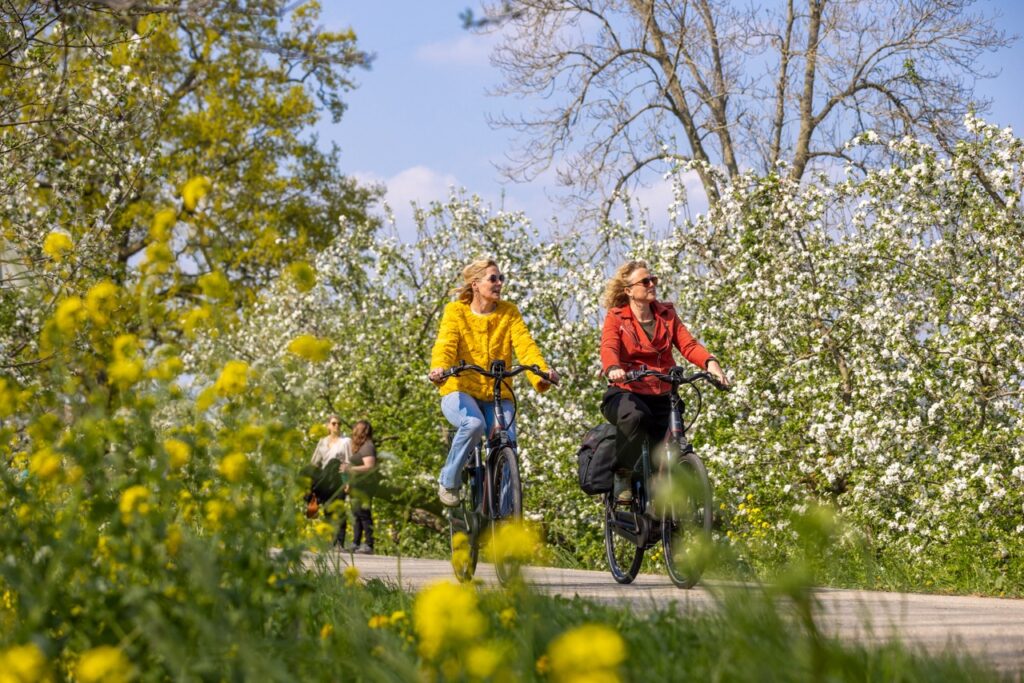 Bloesem appeldijk fietsen - Stichting Bureau Toerisme Seijbel Photography- groot